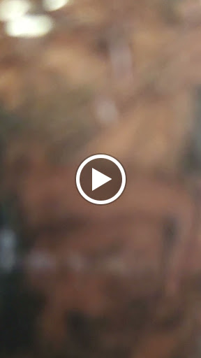 Explore rare breed tattoo ideas, creative tattoo ideas in Jacksonville, available at Inkspirational Artistry