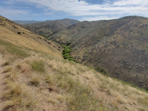 Hulls Gulch Interpretive Trail