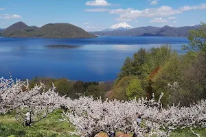 Sobetsu Park Plum Garden image