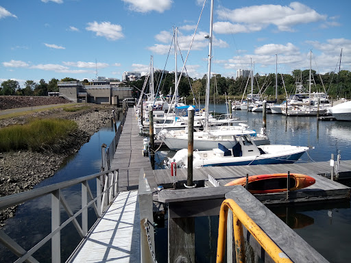 Palmer landing marina