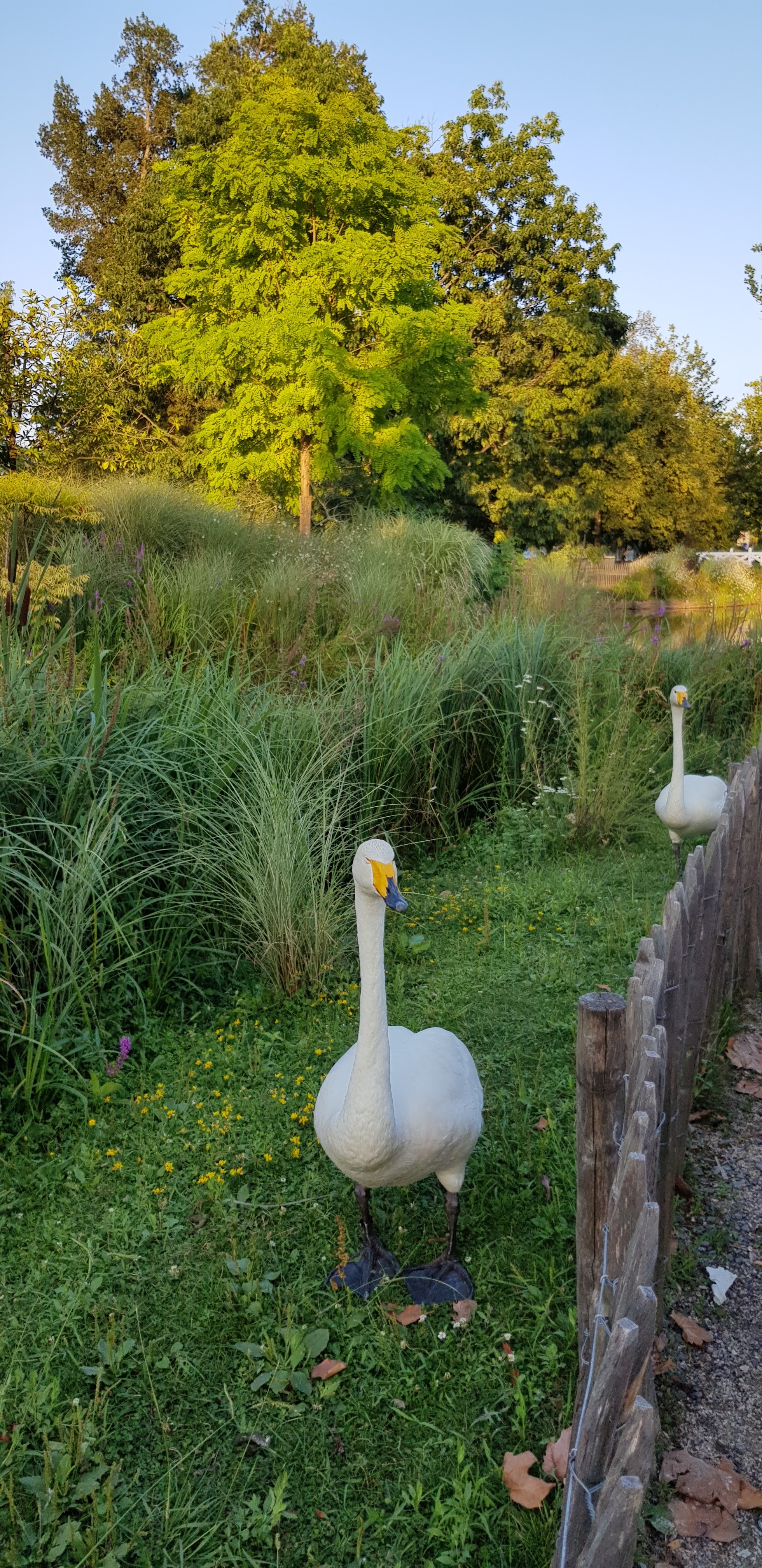 Photo n° 3 de l'avis de Gwenns. fait le 15/08/2020 à 06:50