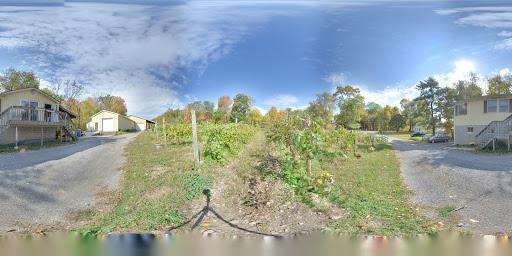 Vineyard «Brimstone Hill Vineyard», reviews and photos, 61 Brimstone Hill Rd, Pine Bush, NY 12566, USA