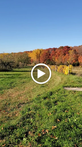 Winery «Parley Lake Winery», reviews and photos, 8280 Parley Lake Rd, Waconia, MN 55387, USA