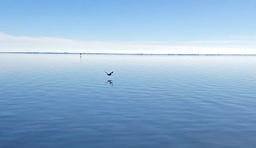 Sporting Goods Store «KAYAKS BY BO INC.», reviews and photos, 410 S Hopkins Ave, Titusville, FL 32796, USA