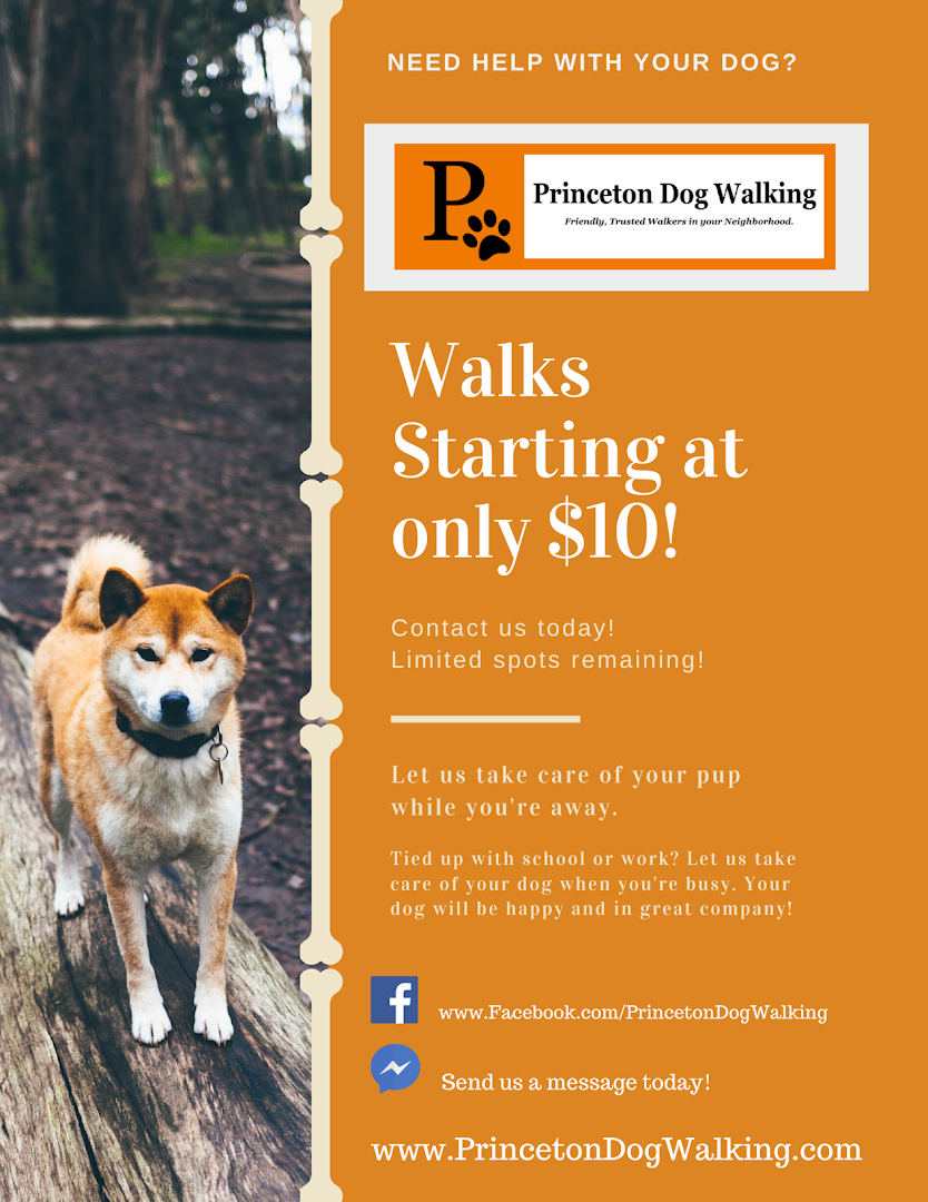Princeton Dog Walking