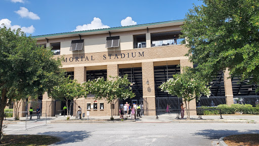 Memorial Stadium image 10