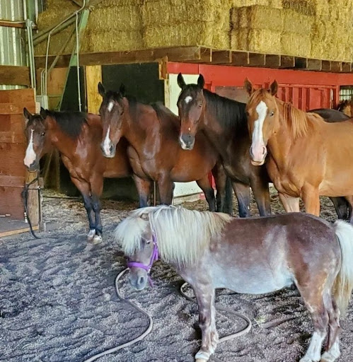 River's Edge Equine Center image