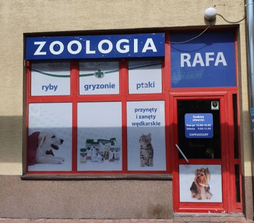 Sklep zoologiczny Rafa