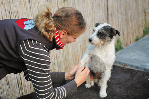 Tierarztpraxis Corinna Bicher unter Oranienburg, Brandenburg