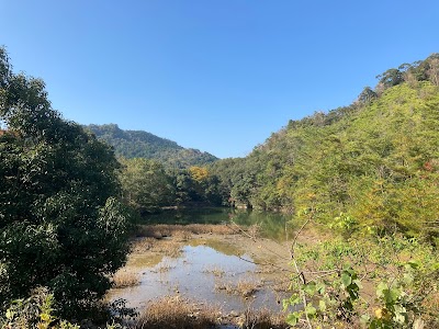 菅野公園ため池