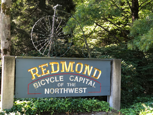 Insurance Agency «Christy Niemann - State Farm Insurance Agent», reviews and photos