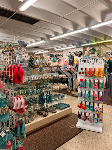 Gift Shop «Big Shark», reviews and photos, 2715 N Atlantic Ave, Daytona Beach, FL 32118, USA