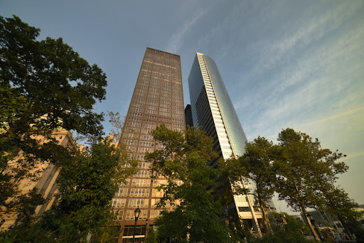 Tourist Attraction «Sussex County Sunflower Maze», reviews and photos, 101 Co Rd 645, Sandyston, NJ 07826, USA