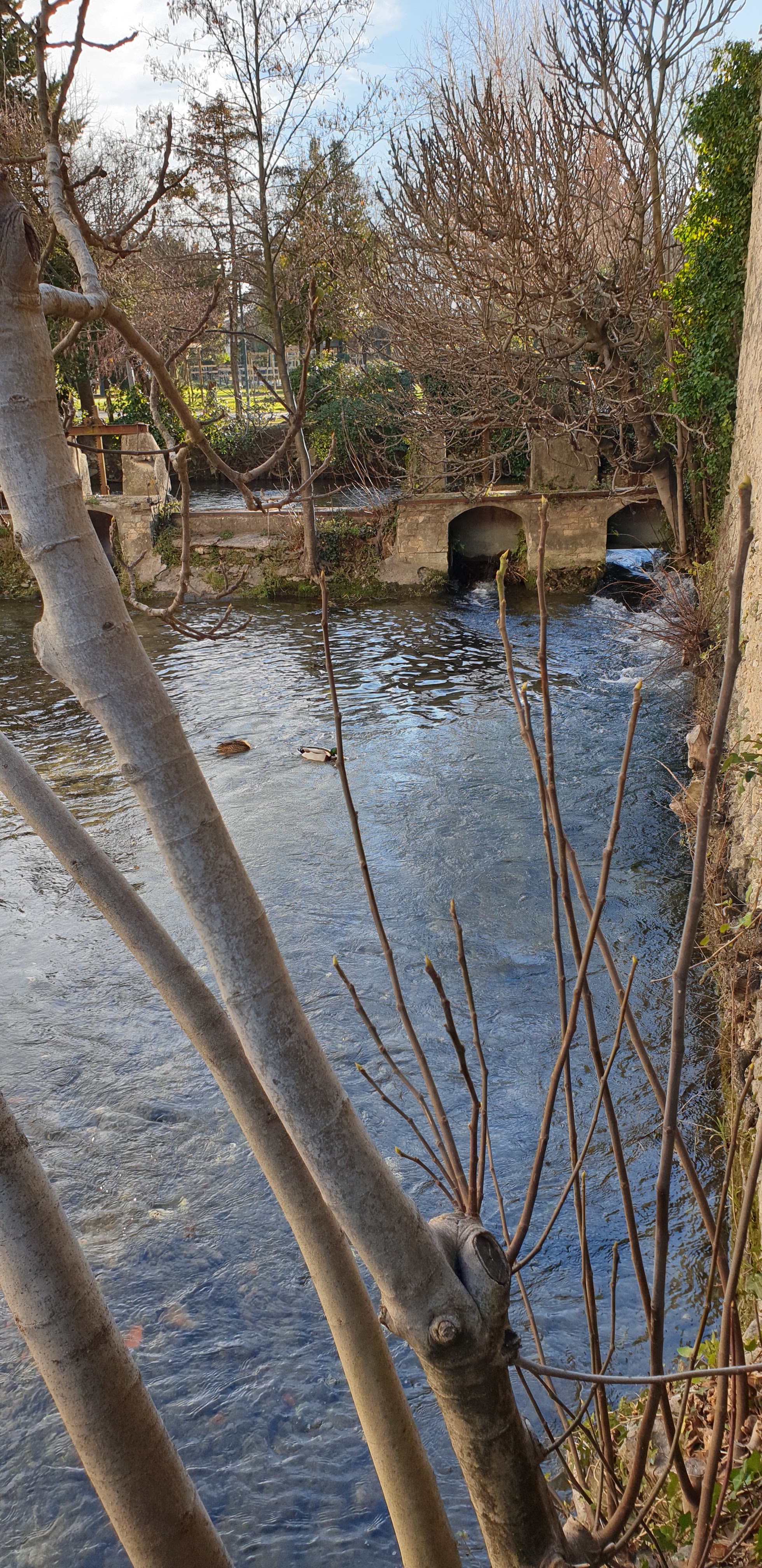 Photo n° 15 de l'avis de didier.a fait le 12/12/2021 à 19:26