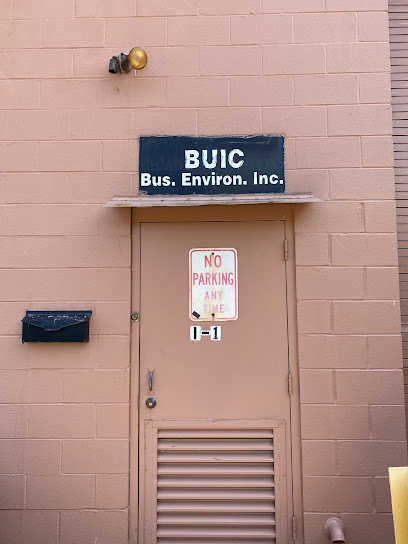 Buic Business Environments