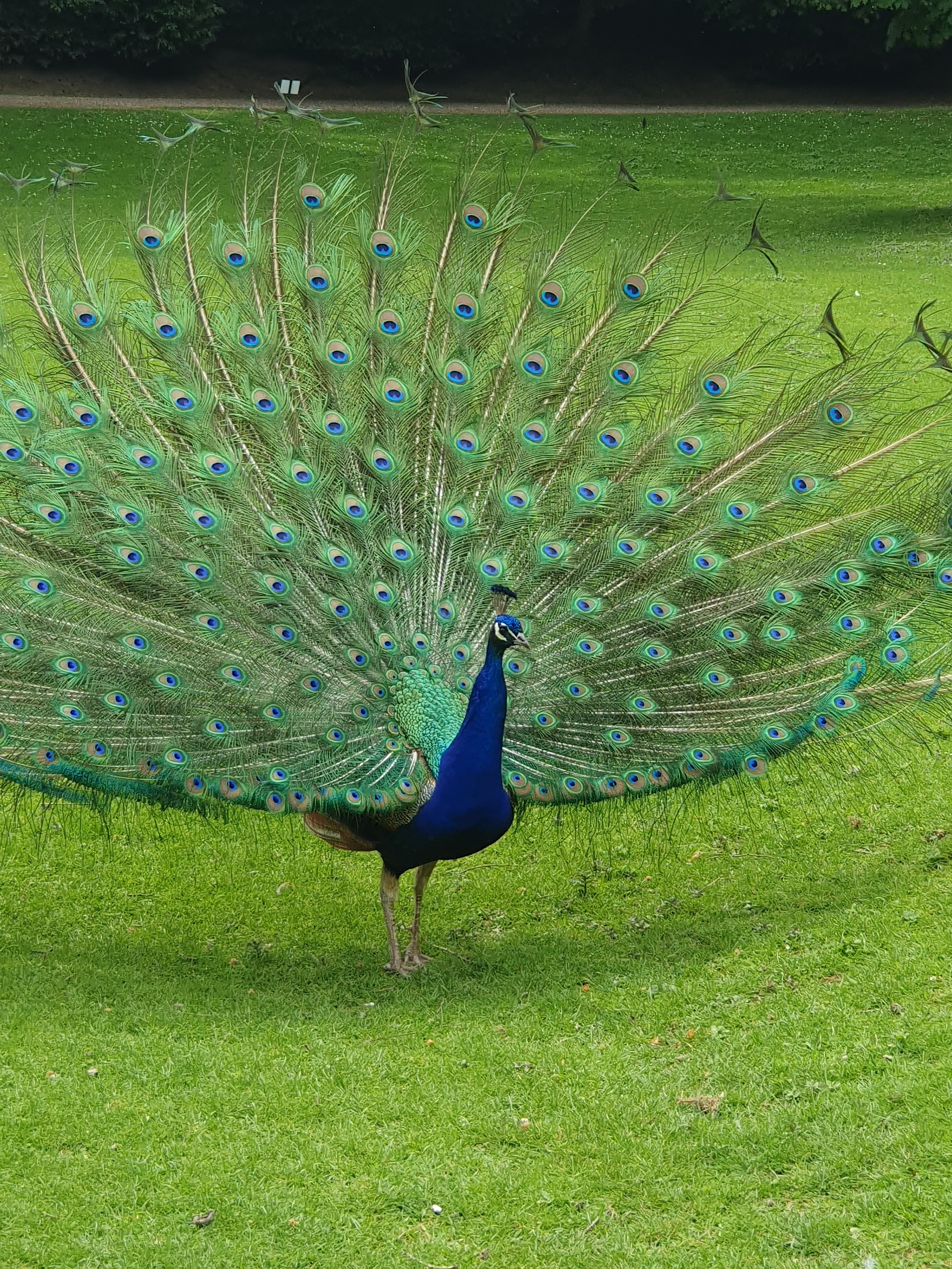 Photo n° 2 de l'avis de Laetitia. fait le 25/05/2023 à 04:48