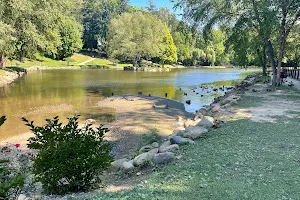 Silver Park Duck Pond image