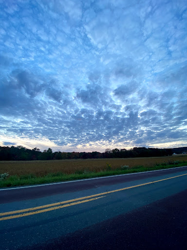 Drive-in Movie Theater «The Mahoning Drive-in Theater», reviews and photos, 635 Seneca Rd, Lehighton, PA 18235, USA