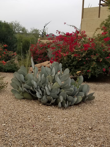 Spa «Spa At Camelback Inn», reviews and photos, 5402 E Lincoln Dr, Scottsdale, AZ 85253, USA