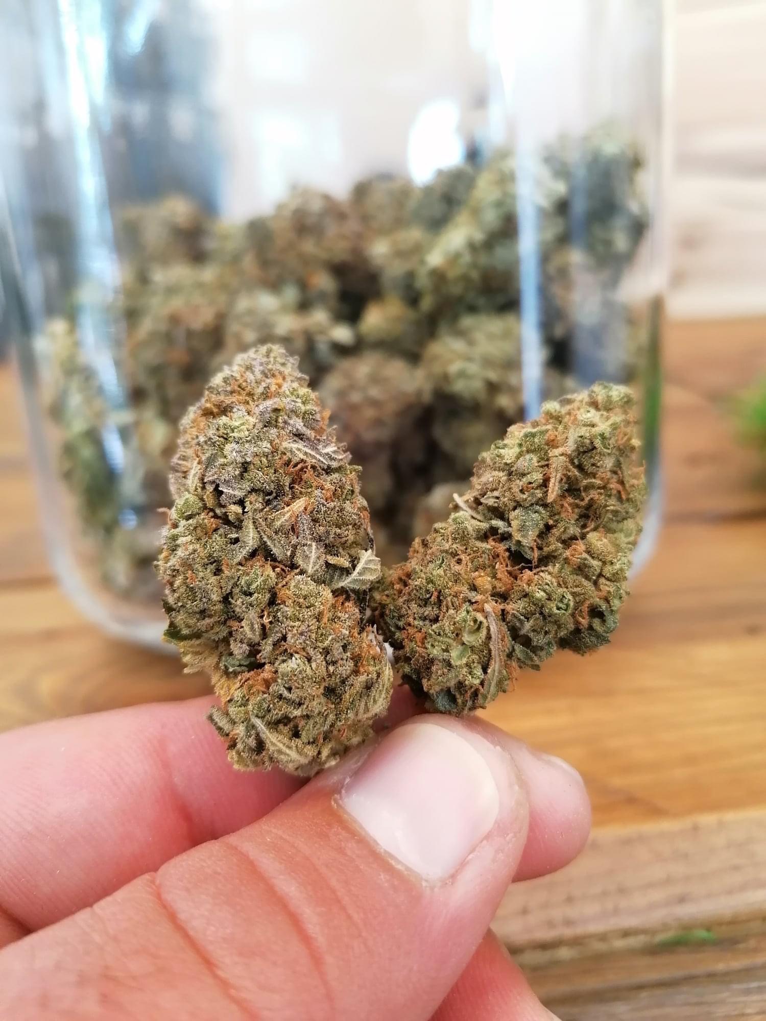 Photo n° 1 de l'avis de Christophe.e fait le 04/06/2022 à 19:06
