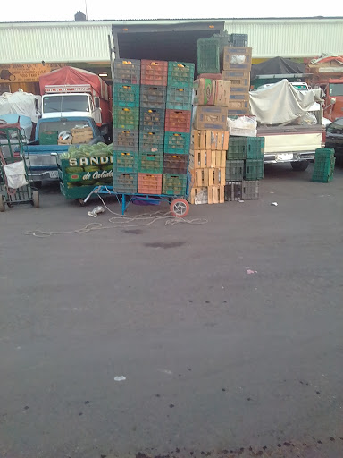 Frutería Sandias de Lujo