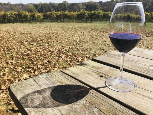Vineyard «Noboleis Vineyards», reviews and photos, 100 Hemsath Rd, Augusta, MO 63332, USA