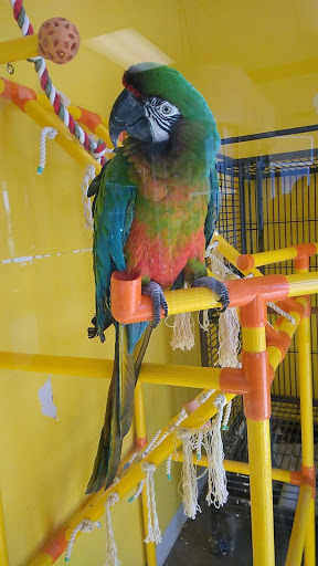 Pet Store «Pet Country», reviews and photos, 2665 Donaghey Ave #106, Conway, AR 72032, USA