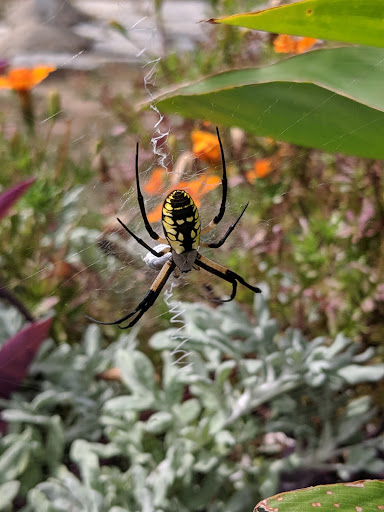 Park «Mt. Echo Park», reviews and photos, 202 Crestline Ave, Cincinnati, OH 45205, USA