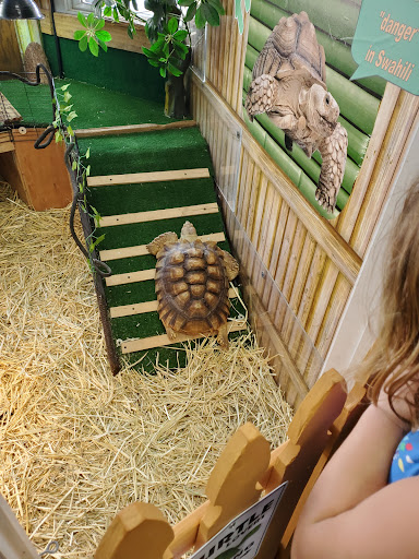 Aquarium «Team ECCO Ocean Center & Aquarium», reviews and photos, 511 N Main St, Hendersonville, NC 28792, USA