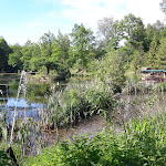Photo n°1 de l'avis de Patrick.e fait le 18/06/2017 à 20:05 sur le  Käppels Floßteiche à Reichenbach im Vogtland