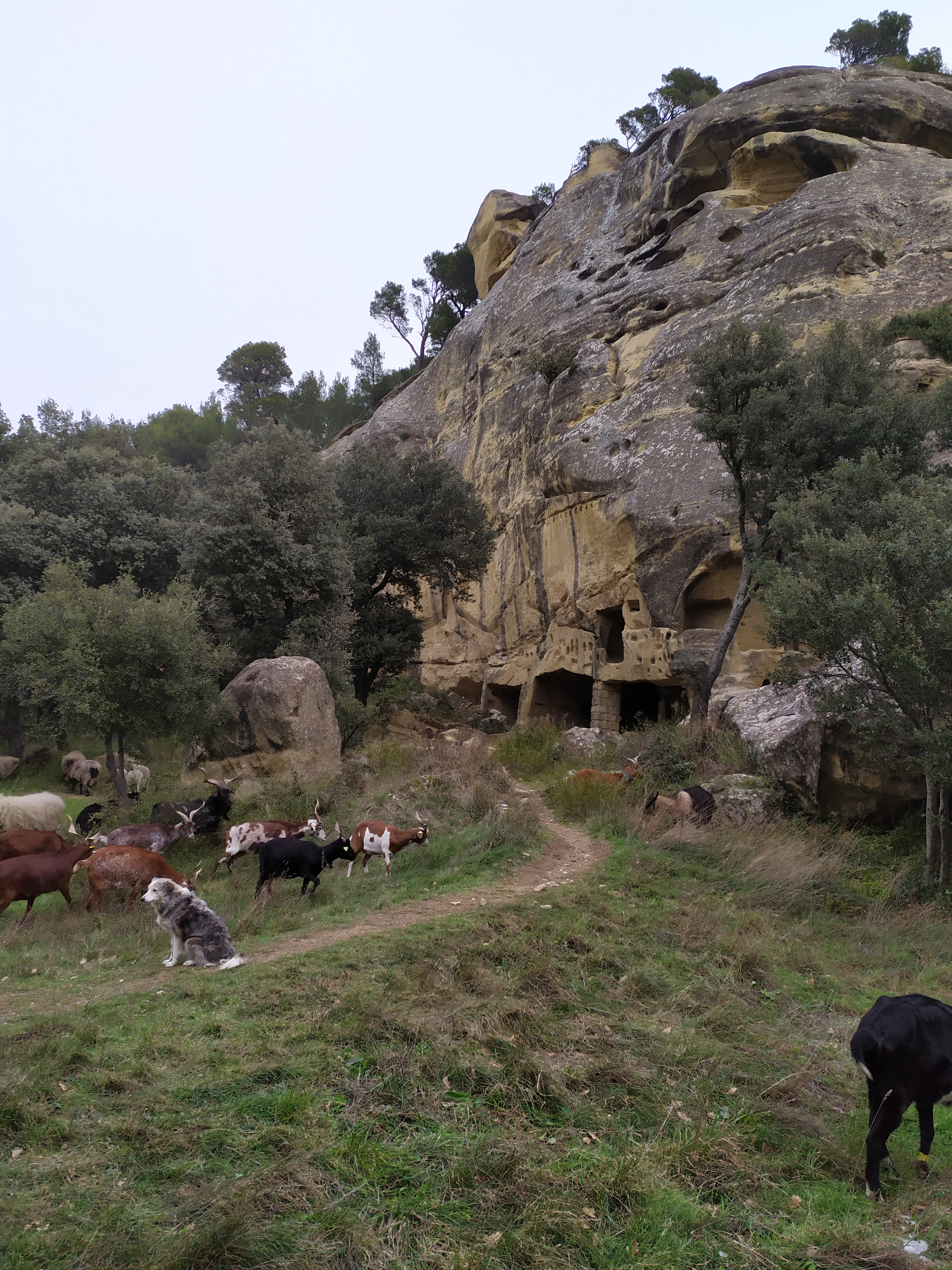 Photo n° 3 de l'avis de gabriel.i fait le 14/01/2021 à 11:47
