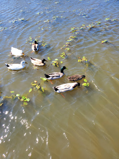 Park «Beckley Creek Park», reviews and photos, 1411 Beckley Creek Pkwy, Louisville, KY 40245, USA