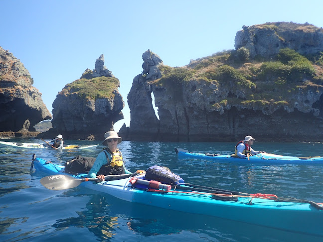 Comments and reviews of New Zealand Sea Kayak Adventures