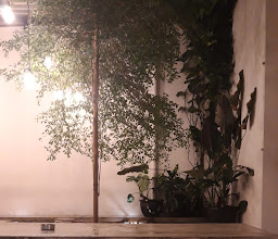 Hayati | Specialty Coffee photo