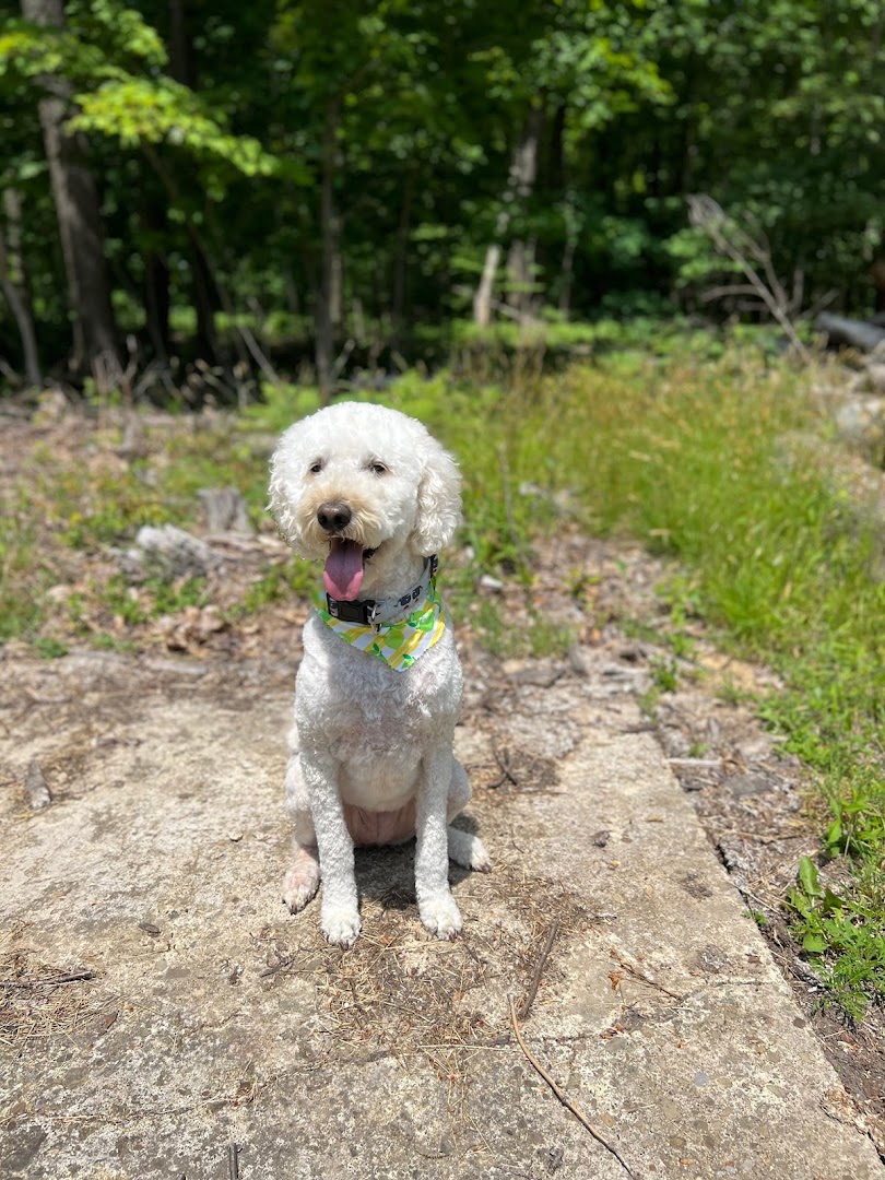 Chevelle's Mudpuppies