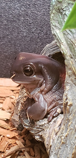 Pet Supply Store «Pet Supplies Plus», reviews and photos, 1810 Declaration Dr, Independence, KY 41051, USA