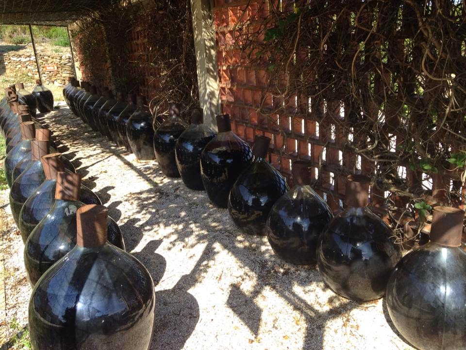 Photo n° 3 de l'avis de vinotour.o fait le 05/12/2016 à 17:36