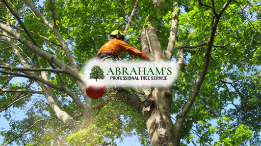 Abraham's Professional Tree Service