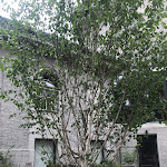 Photo n°6 de l'avis de Evelyn.t fait le 11/05/2019 à 15:38 sur le  MARS | Küche & Bar à Berlin