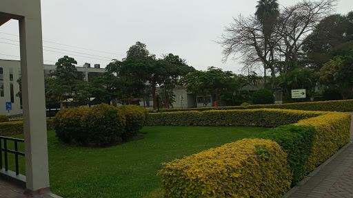 Universidad de San Martín de Porres