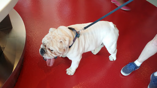 Tourist Attraction «World of Coca-Cola», reviews and photos, 121 Baker St NW, Atlanta, GA 30313, USA