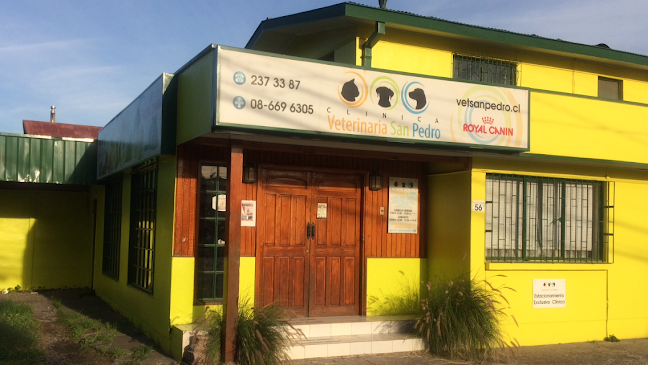 Opiniones de Clínica Veterinaria San Pedro en San Pedro de La Paz - Veterinario