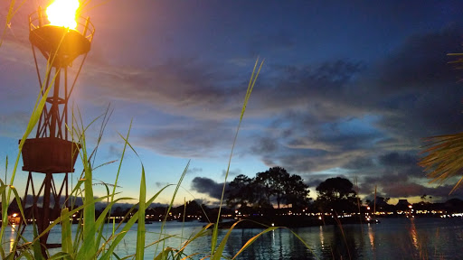 Fast Food Restaurant «Chick-fil-A», reviews and photos, 4752 S Kirkman Rd, Orlando, FL 32811, USA