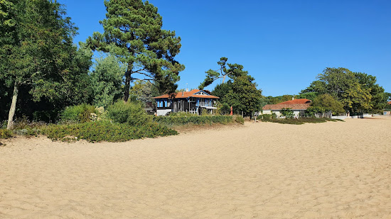 Cross Sailors Beach