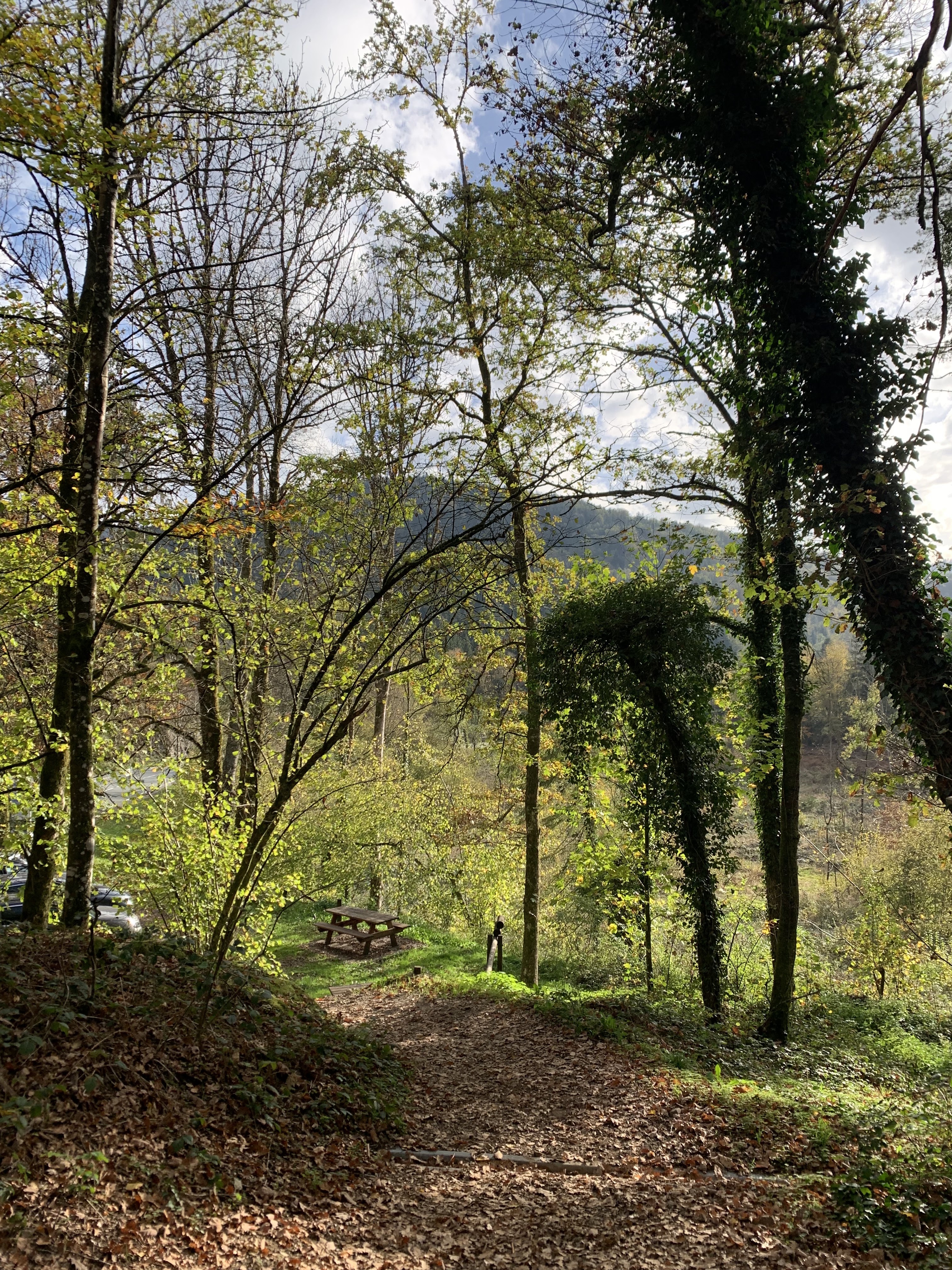 Photo n° 7 de l'avis de Marion.a fait le 01/11/2022 à 13:16