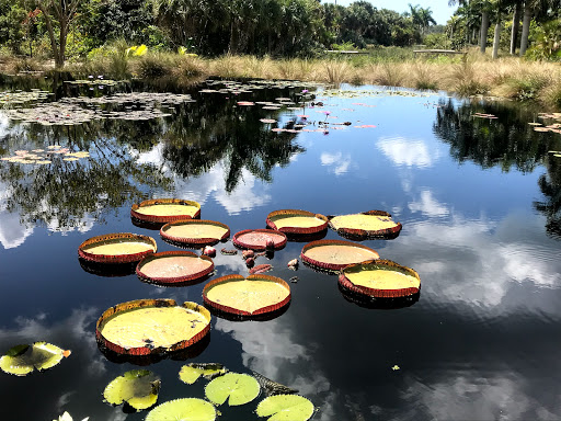 Zoo «Central Florida Zoo & Botanical Gardens», reviews and photos, 3755 NW Hwy 17-92, Sanford, FL 32771, USA