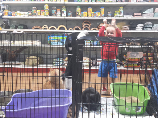 Pet Store «Pets Plus - Lansdale», reviews and photos, 555 S Broad St, Lansdale, PA 19446, USA