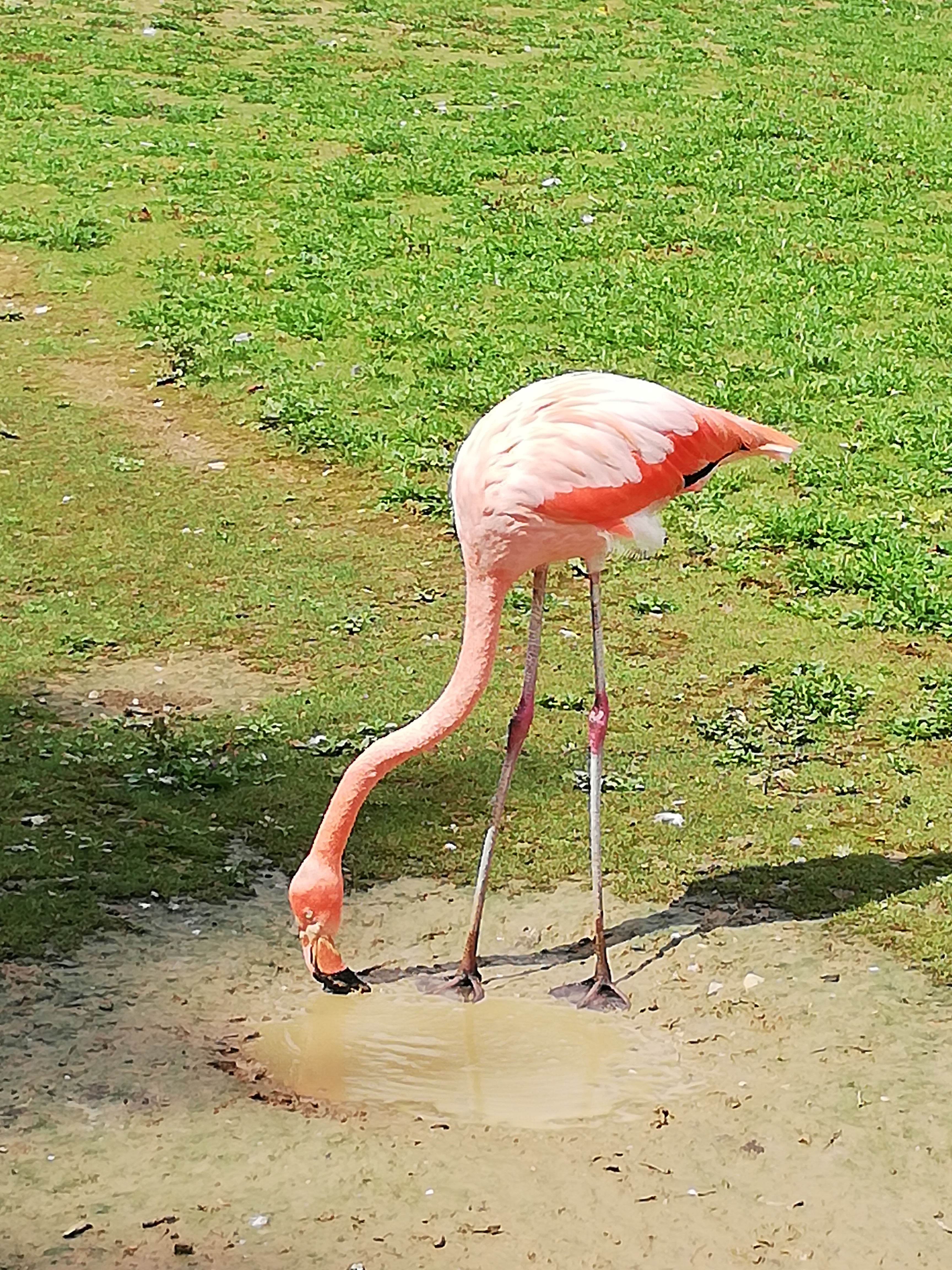 Photo n° 11 de l'avis de Emilie.i fait le 13/08/2020 à 15:47