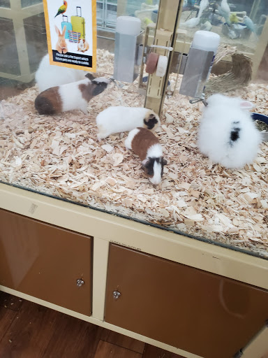 Pet Supermarket