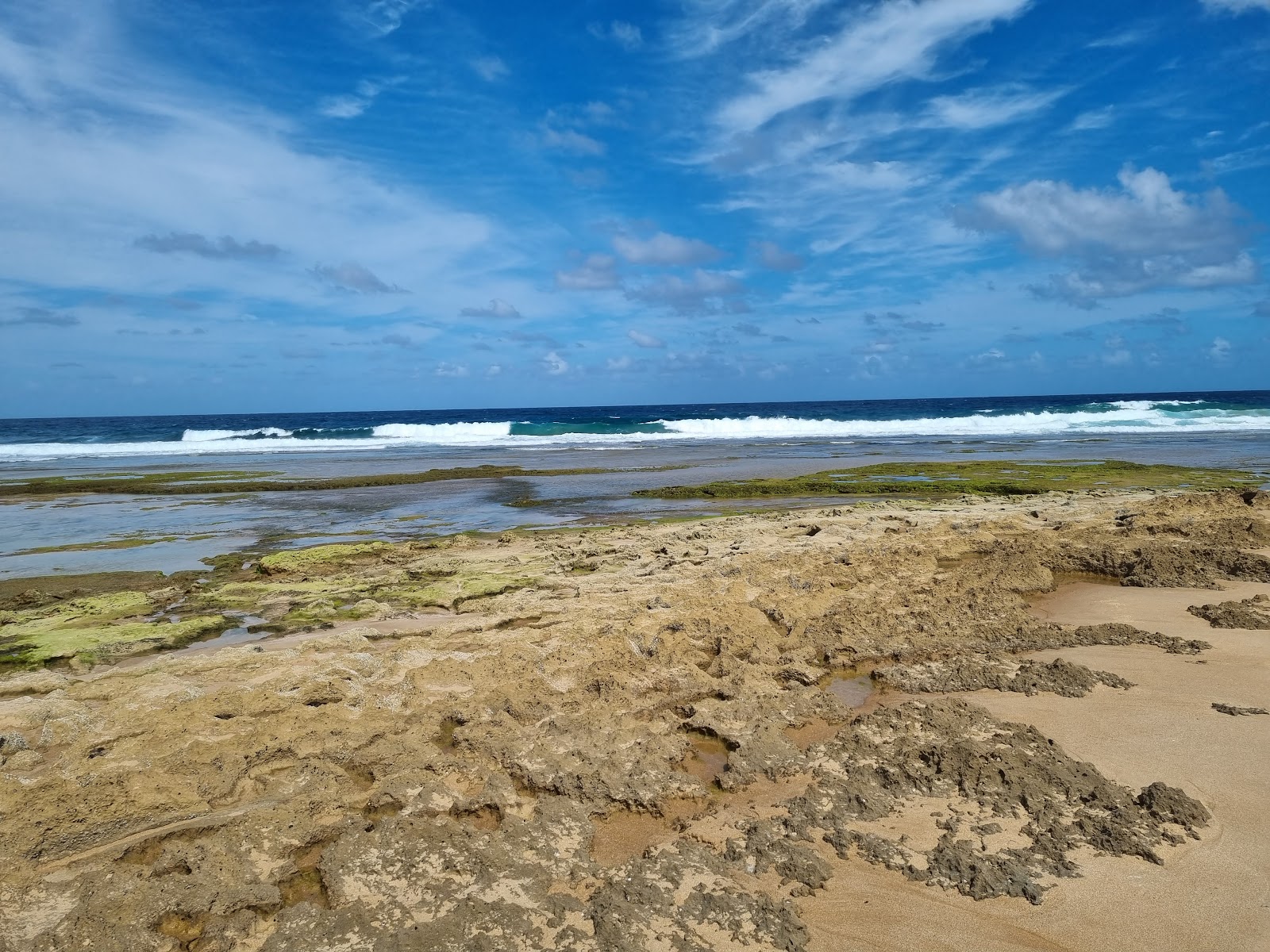 Foto de Coconut Bay Cabanas - buen lugar amigable para mascotas para vacacionar